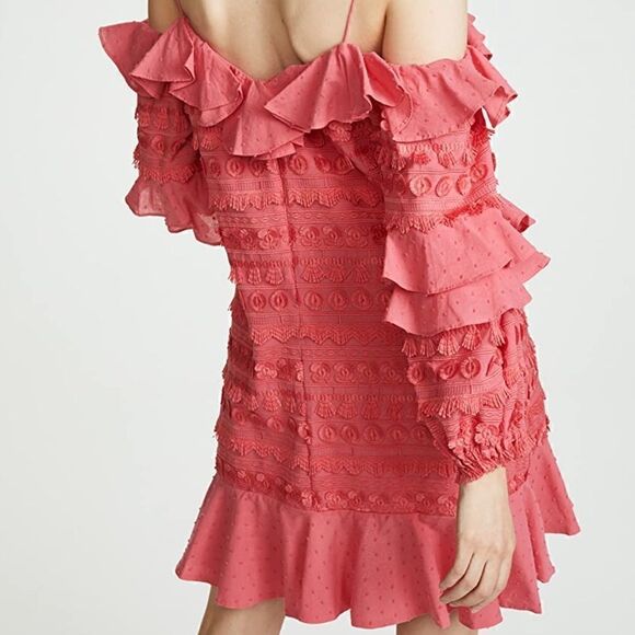 Alexis Calypso Dress    - Picture 8 of 11